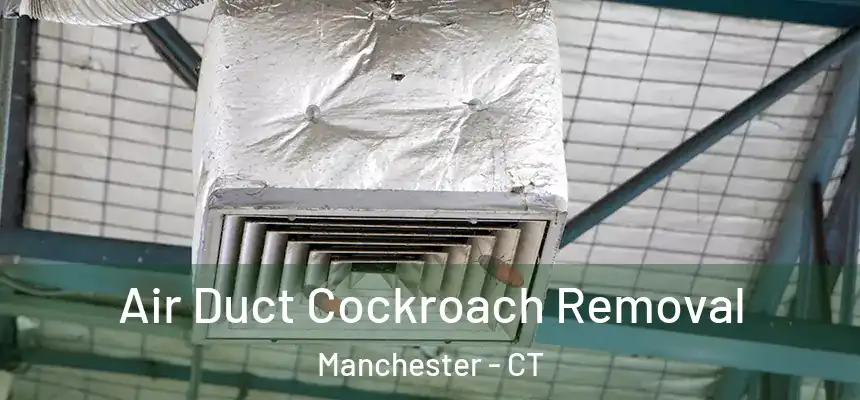  Air Duct Cockroach Removal Manchester - CT
