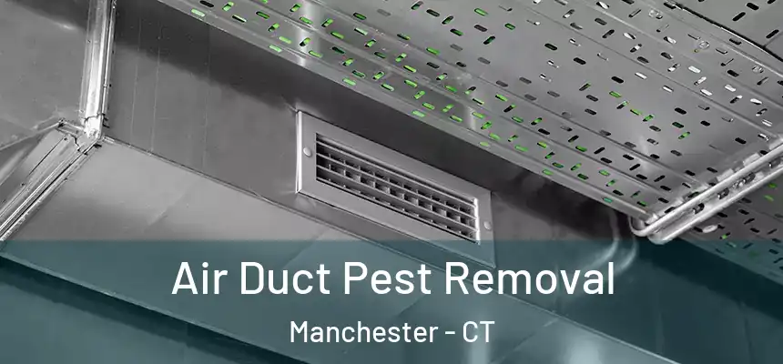  Air Duct Pest Removal Manchester - CT