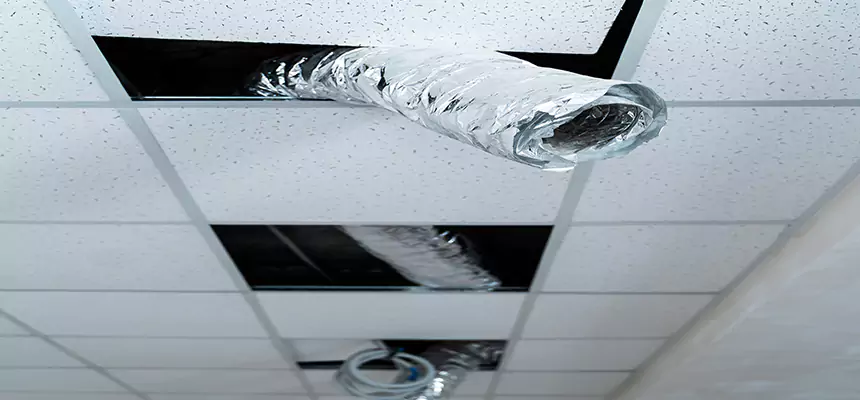 Our Air Duct Pet Hair Removal Services in Manchester, CT