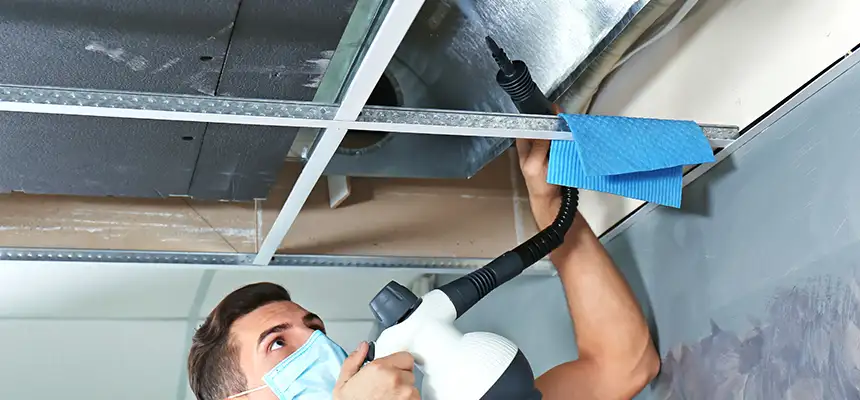 Our Air Duct Rodent Removal Services in Manchester, CT