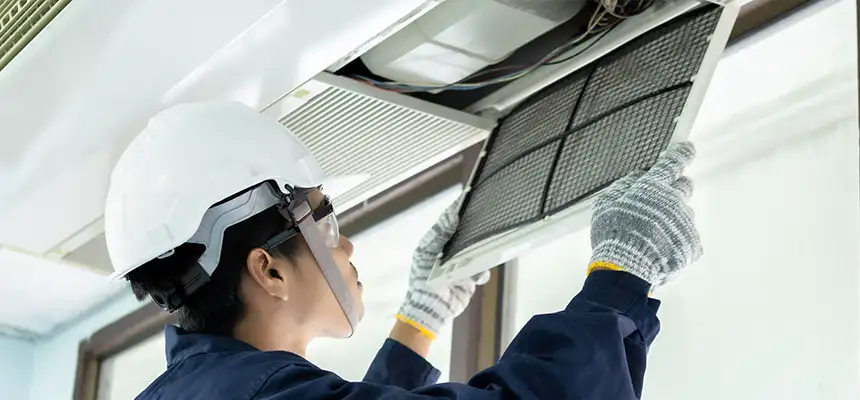 Our Lint Trap Cleaning Service Services in Manchester, CT