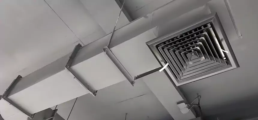 Our Pest Removal From Ducts Services in Manchester, CT