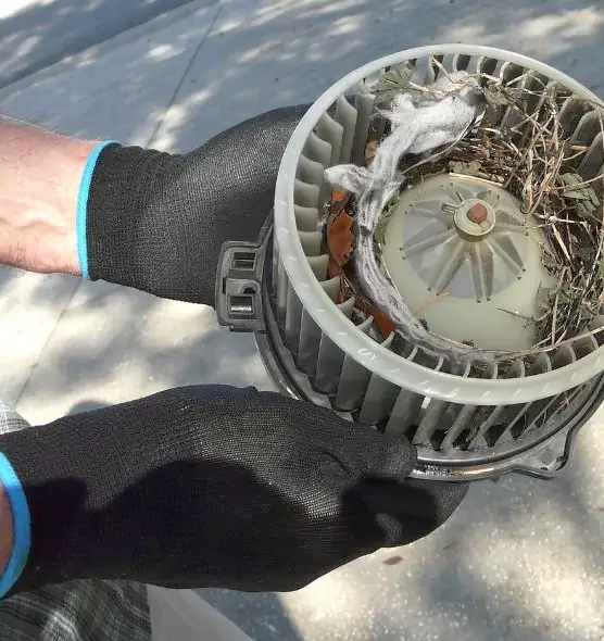 About Air Duct Rat Removal in Manchester, CT