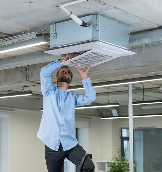 Advanced Rodent Droppings In Vents in Manchester, CT