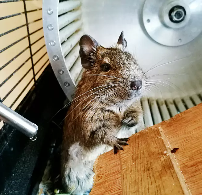 Why Homeowners & Businesses Trust Us Manchester, CT